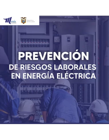 Prevención de Riesgos Laborales en energía Eléctrica (Certificación por Competencias)