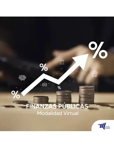 Curso de Finanzas Públicas